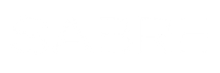 [NL] SABRE logo 300x100(white)